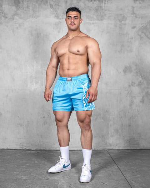 TRAINING SHORTS – CLUB / OLYMPIC BLUE