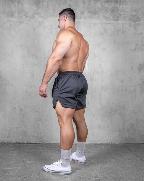 LIFTING SHORTS – MESH / GREY